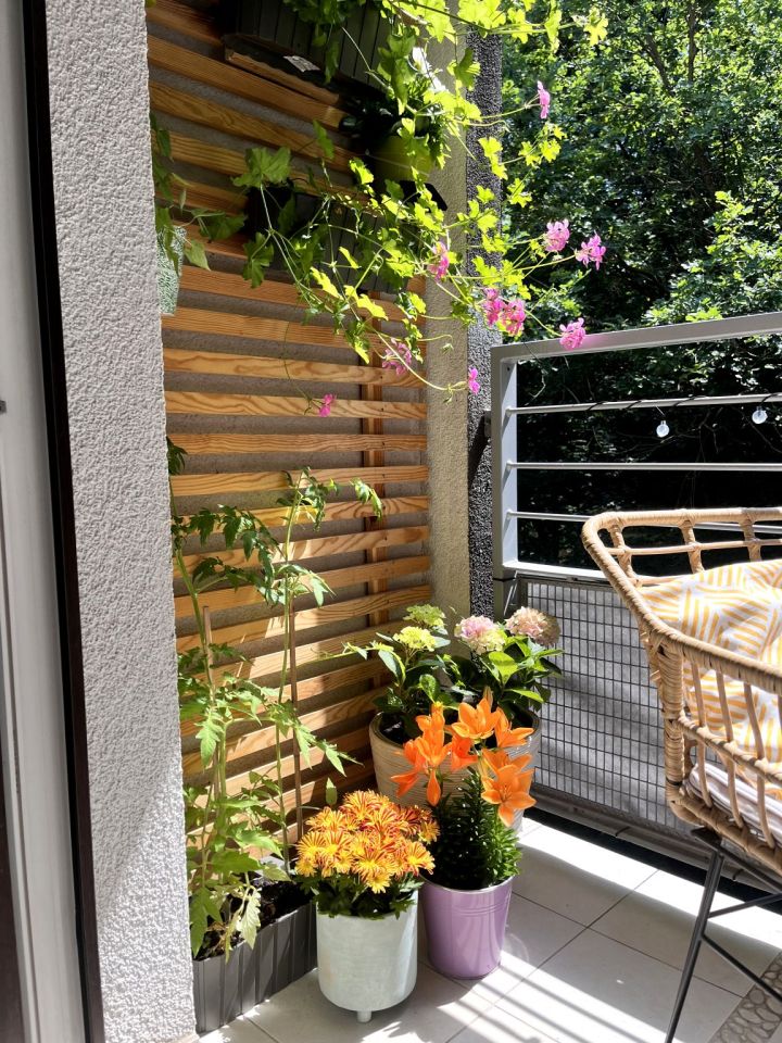 Mieszkanie 4-pokojowe Zielona Góra Centrum, ul. Tadeusza Zawadzkiego "Zośki". Zdjęcie 2