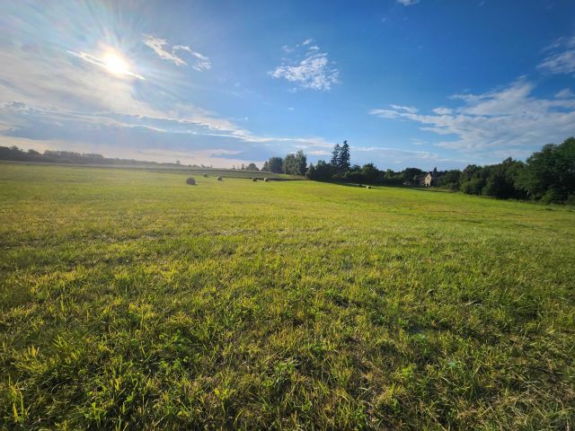 Działka siedliskowa Skibno. Zdjęcie 1