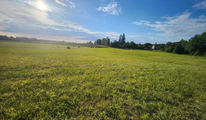 Działka siedliskowa Skibno