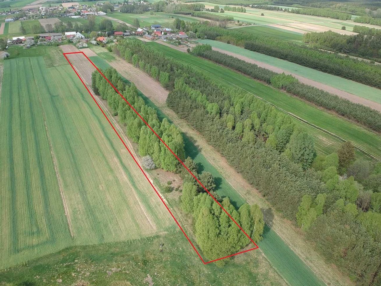 Działka siedliskowa Reczków Nowy. Zdjęcie 3