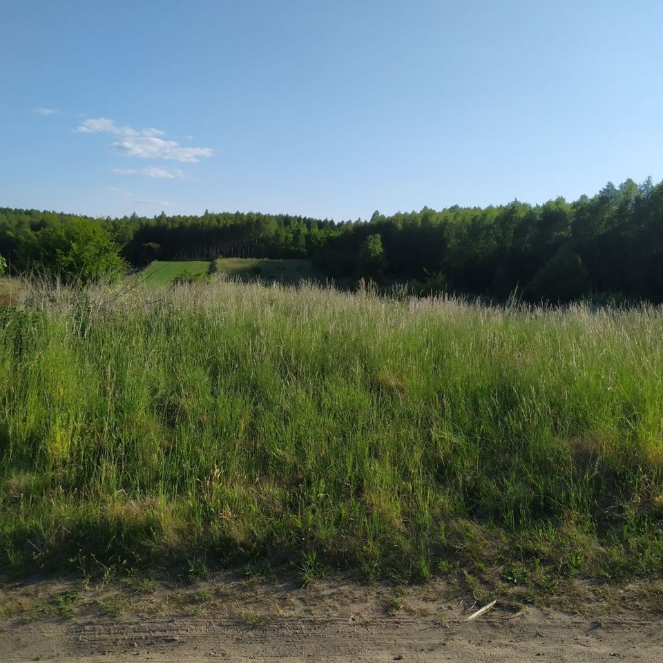 Działka rolno-budowlana Bramka. Zdjęcie 6