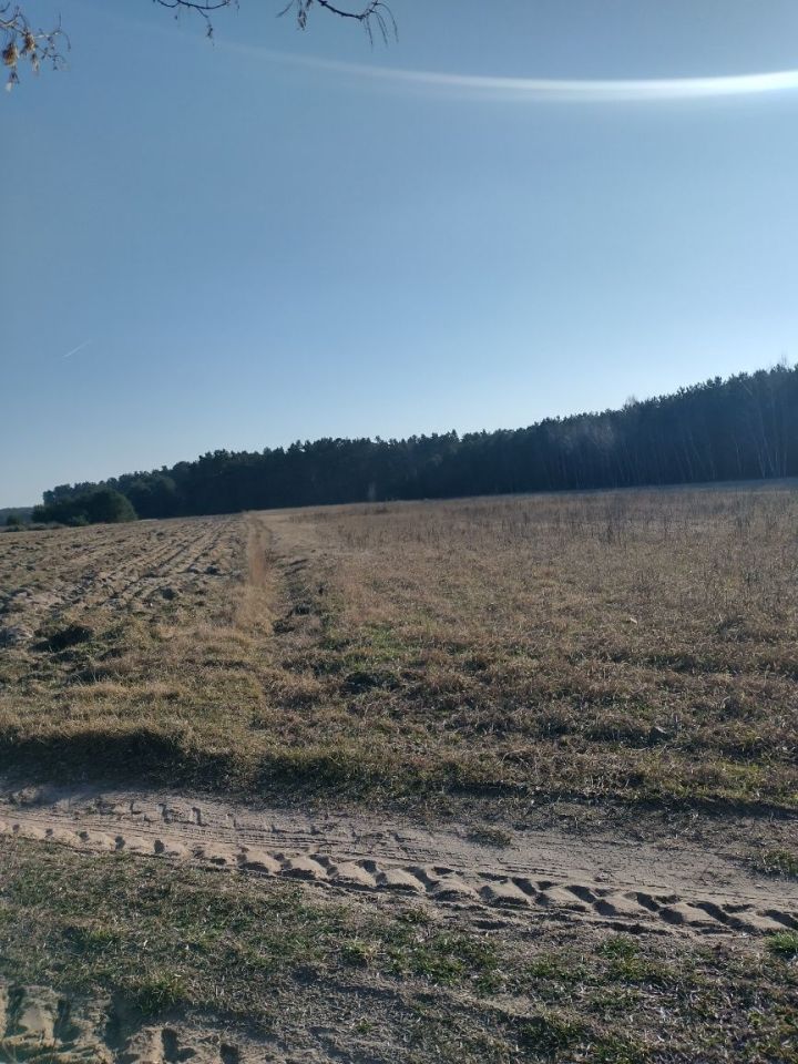 Działka siedliskowa Dziadowice-Folwark. Zdjęcie 8