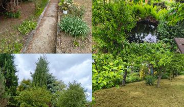 Działka rod Głuchołazy