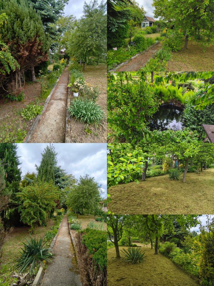 Działka rod Głuchołazy. Zdjęcie 2