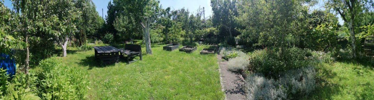 Działka rod Wrocław Stare Miasto. Zdjęcie 4