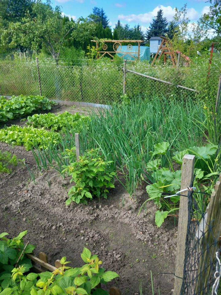 Działka rod Stargard Centrum, Drzymały. Zdjęcie 5