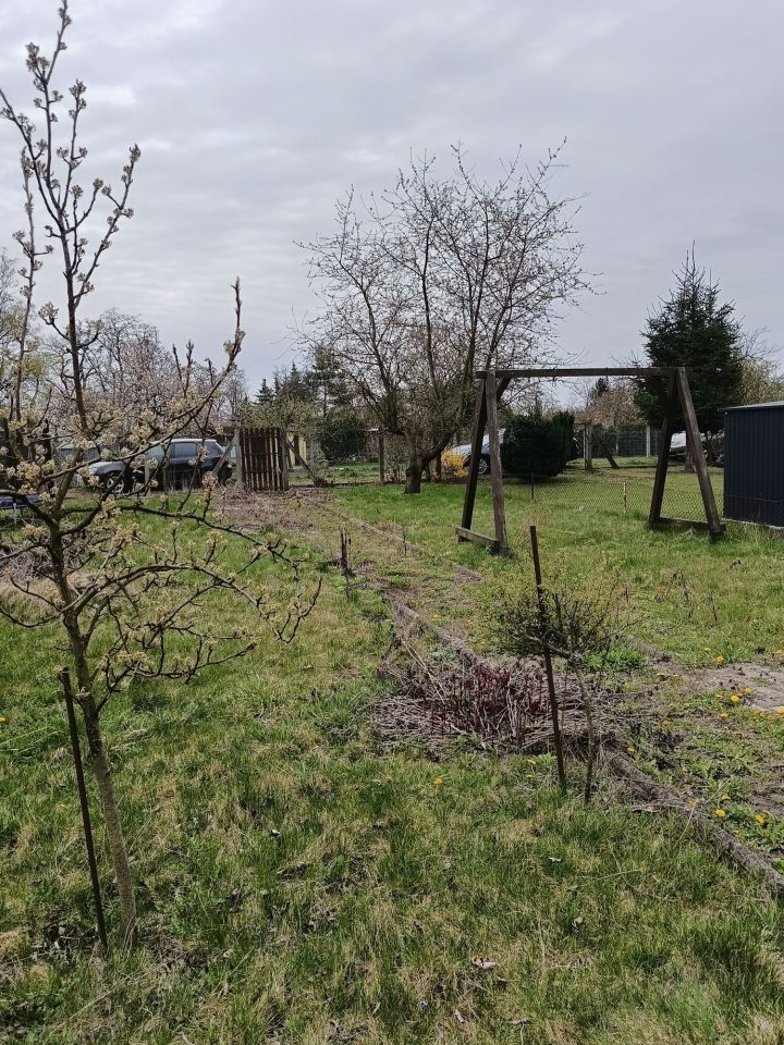 Działka rod Leszno. Zdjęcie 4