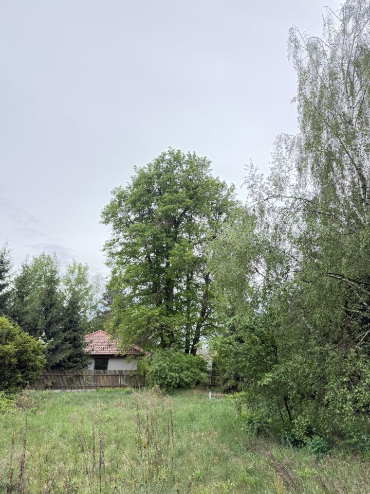 Działka budowlana Owczarnia, ul. Książenicka. Zdjęcie 3