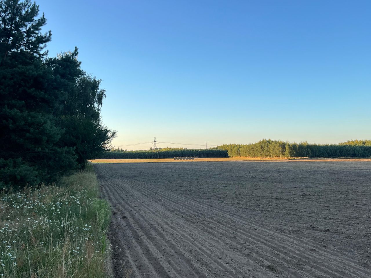 Działka budowlana Drwęsa, ul. Brzozowa. Zdjęcie 6