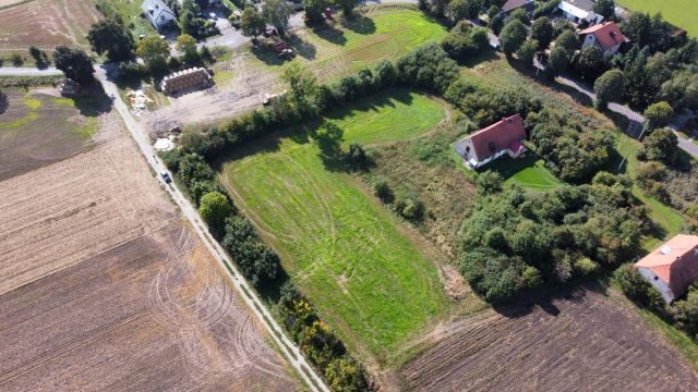 Działka budowlana Jaksin. Zdjęcie 5