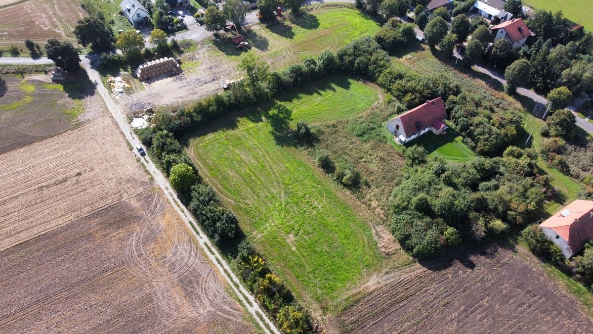 Działka budowlana Jaksin. Zdjęcie 5