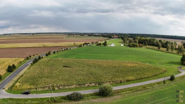 Działka inwestycyjna Gniechowice. Zdjęcie 1