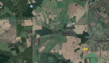 Działka budowlana Sarbia. Zdjęcie 1