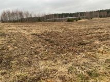 Działka rolna Promna-Kolonia. Zdjęcie 4