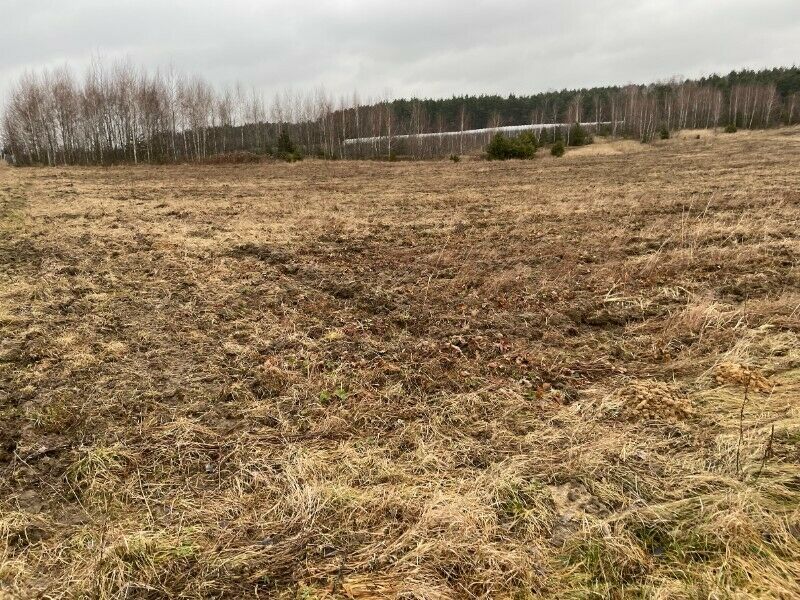 Działka rolna Promna-Kolonia. Zdjęcie 5