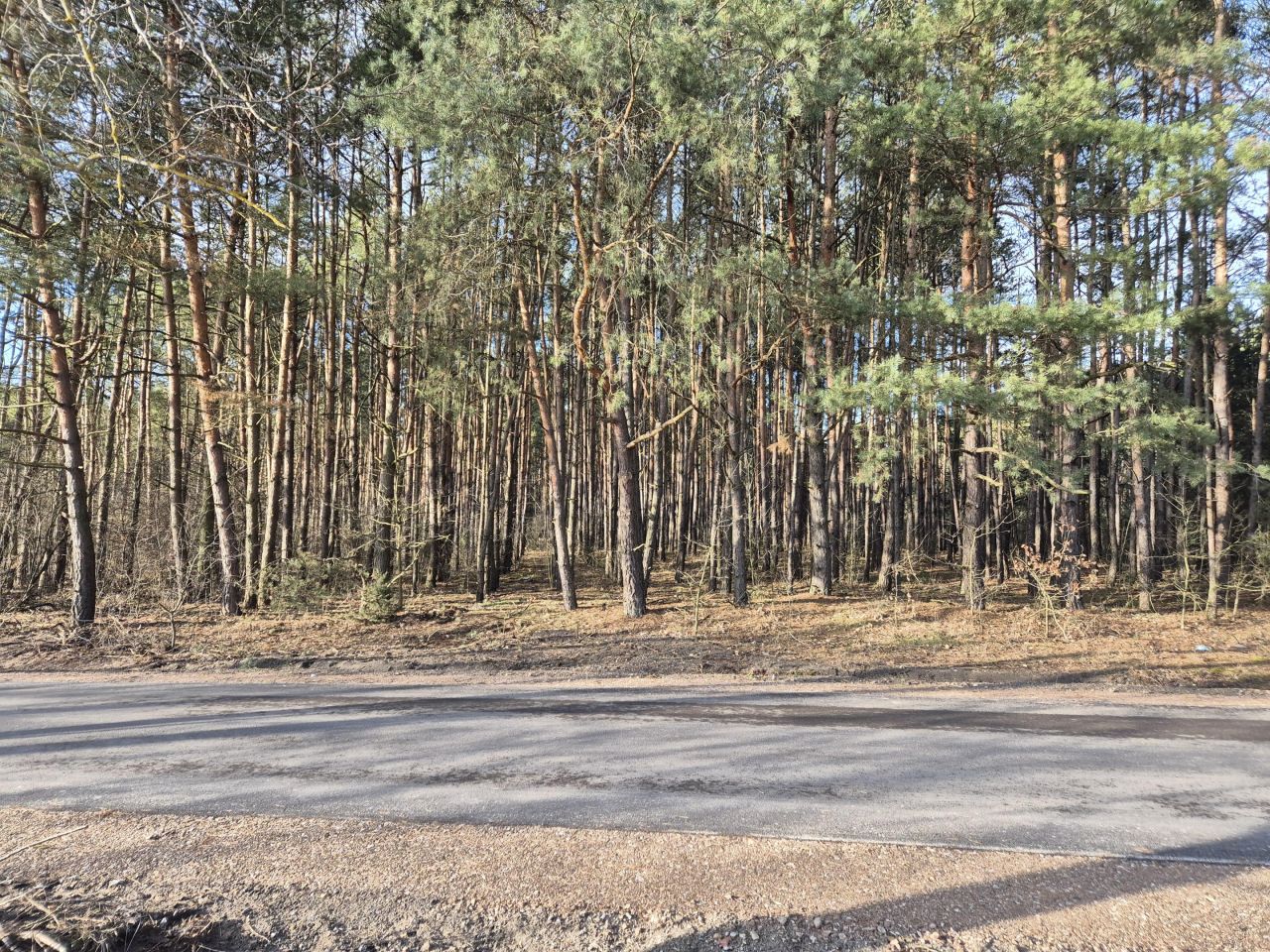 Działka budowlana Grabów nad Pilicą, ul. Kolonia Piaski. Zdjęcie 18