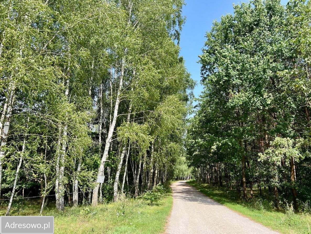 Działka budowlana Jeruzal, ul. Szkolna. Zdjęcie 2