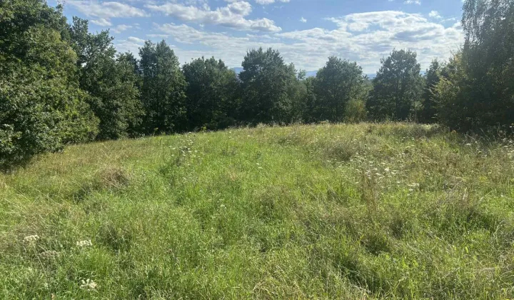 Działka budowlana Nowy Wiśnicz, ul. Jana Matejki