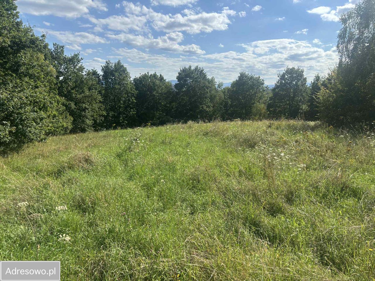 Działka budowlana Nowy Wiśnicz, ul. Jana Matejki