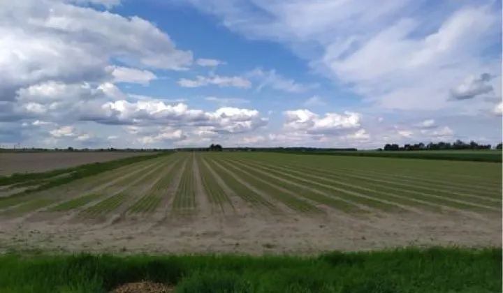 Działka inwestycyjna Zakroczym