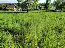 Działka budowlana Rzeszotary, ul. Generała Zygmunta Zielińskiego. Zdjęcie 2