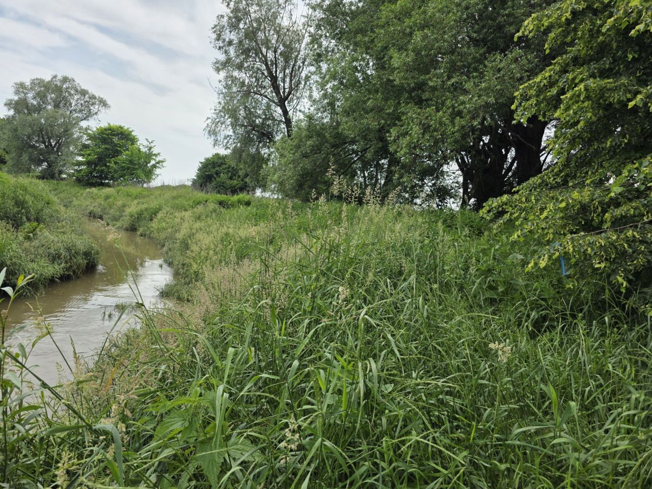 Działka budowlana Przeworsk, ul. Żurawia. Zdjęcie 5