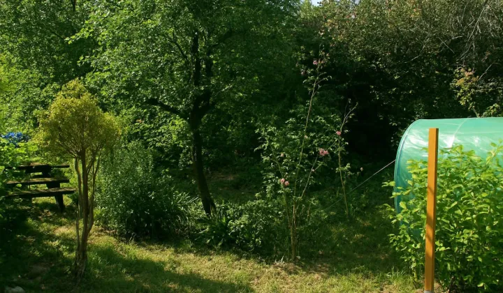 Działka rod Szczecin Bukowo