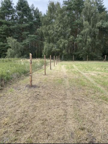 Działka budowlana Nowe Czarnowo. Zdjęcie 3