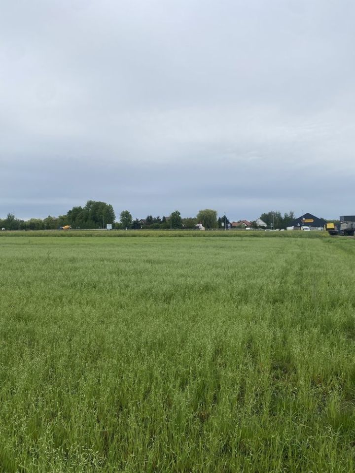Działka inwestycyjna Ligota Piękna. Zdjęcie 4