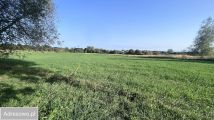 Działka rolno-budowlana Dorohusk-Osada, ul. Wierzbowa. Zdjęcie 4