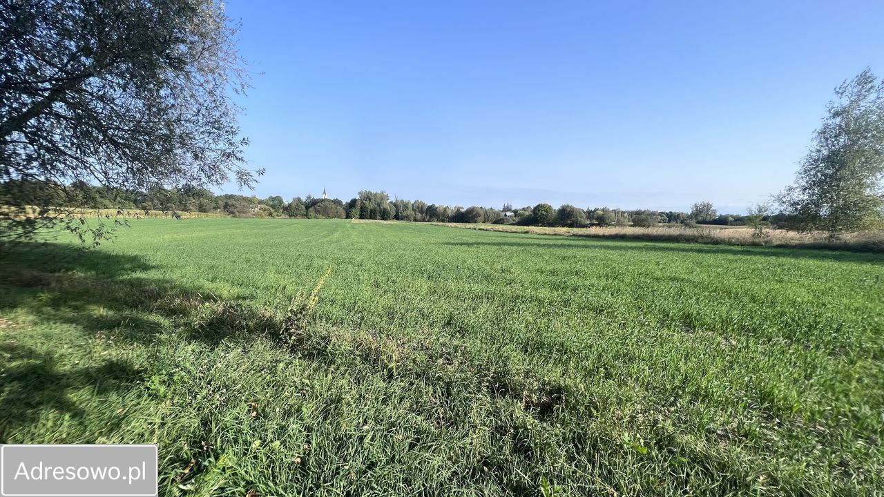 Działka rolno-budowlana Dorohusk-Osada, ul. Wierzbowa. Zdjęcie 5