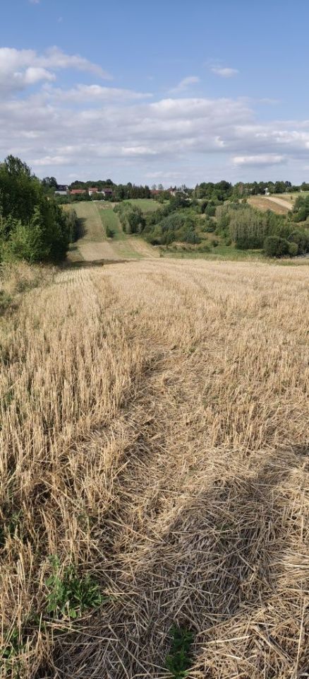 Działka rolno-budowlana Braciejówka. Zdjęcie 4