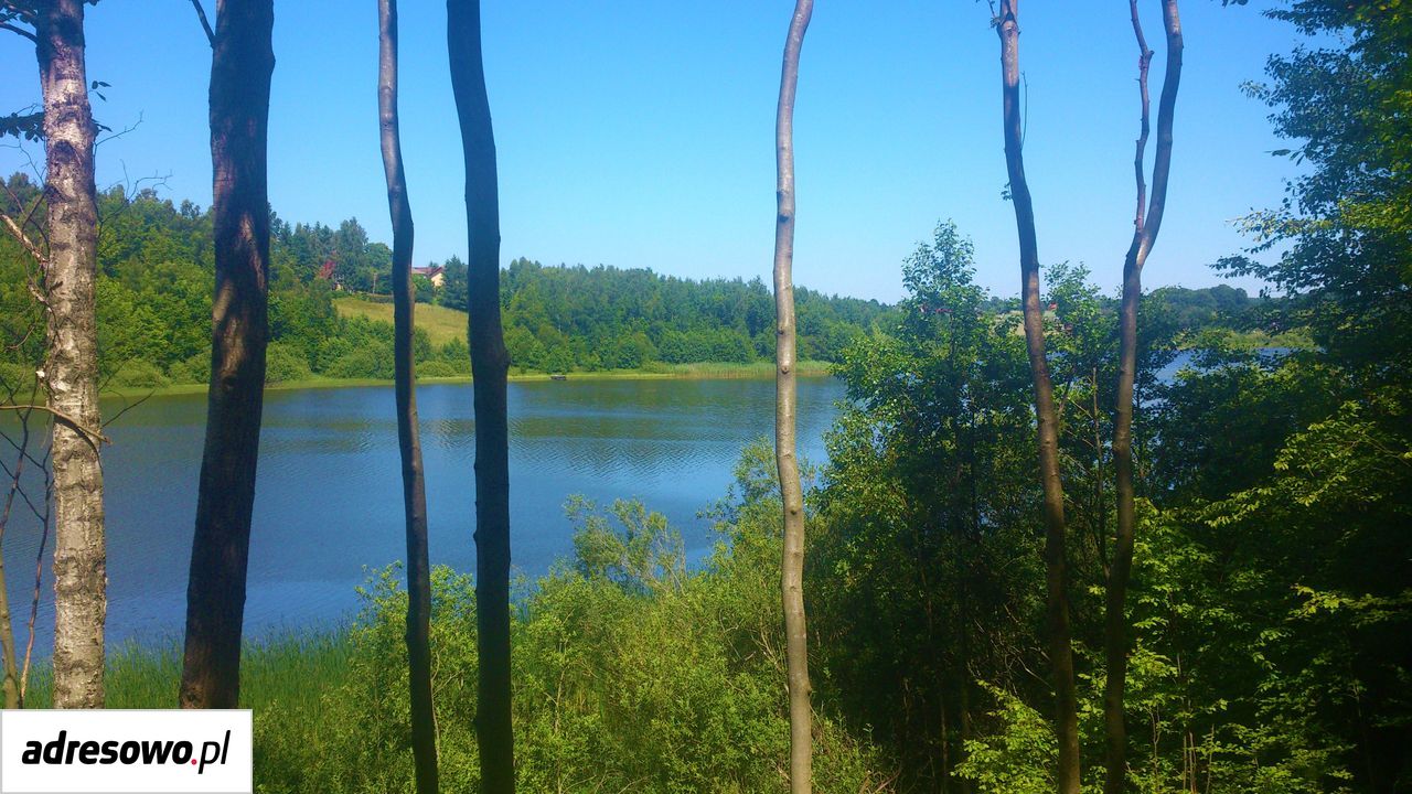 dom wolnostojący, 4 pokoje Częstocin. Zdjęcie 15