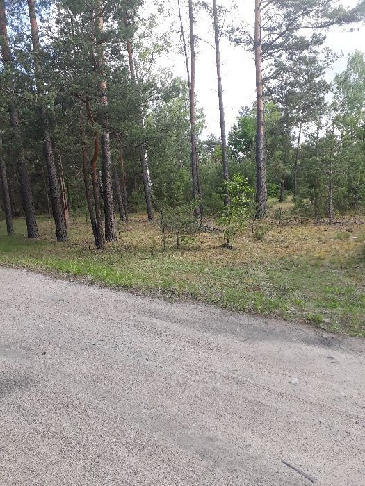 Działka rekreacyjna Kolonie Stanisławów. Zdjęcie 4