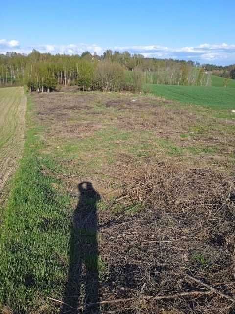 Działka rolna Płotowo. Zdjęcie 4