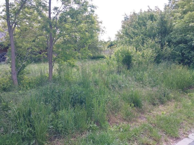 Działka budowlana Parzęczew. Zdjęcie 1