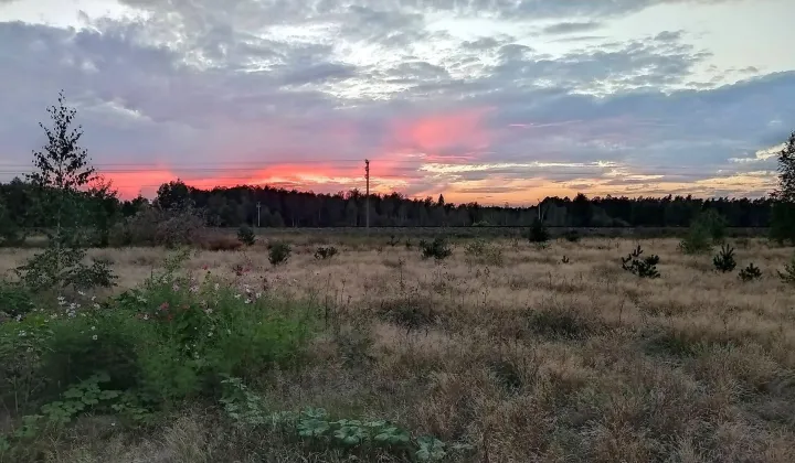 Działka siedliskowa Szczebra