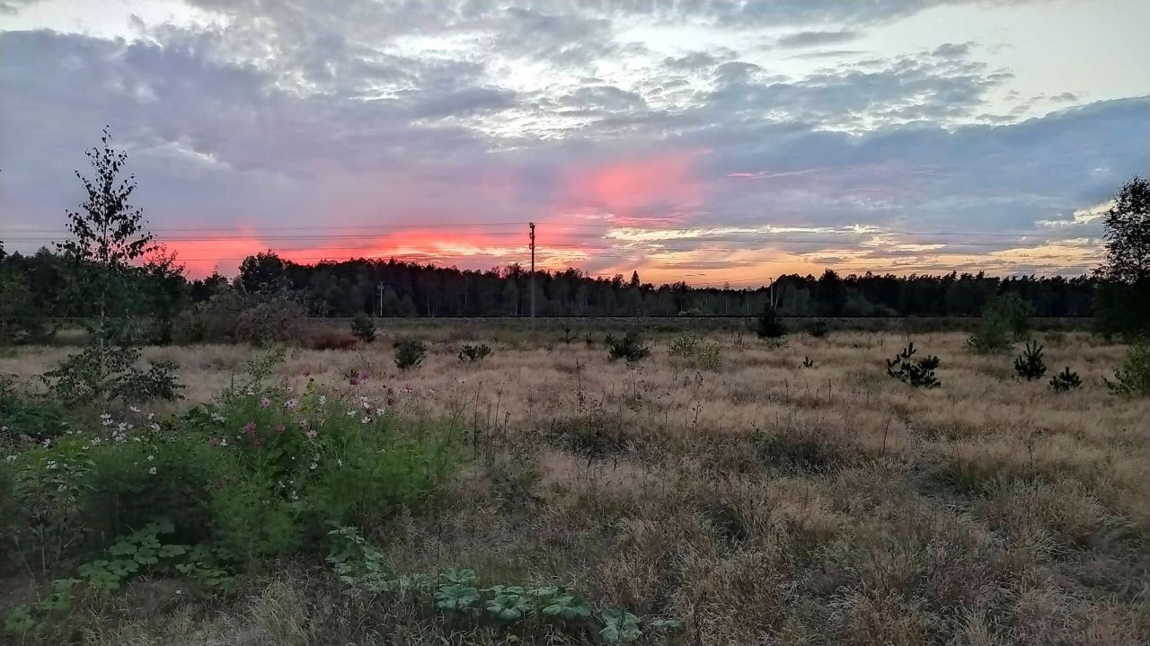 Działka siedliskowa Szczebra