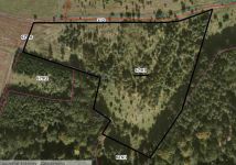 Działka rolna Rząsiny