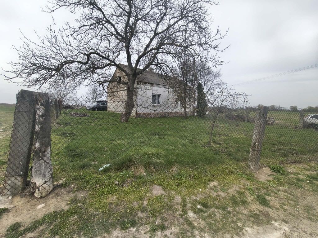 siedlisko Skrzynki. Zdjęcie 6