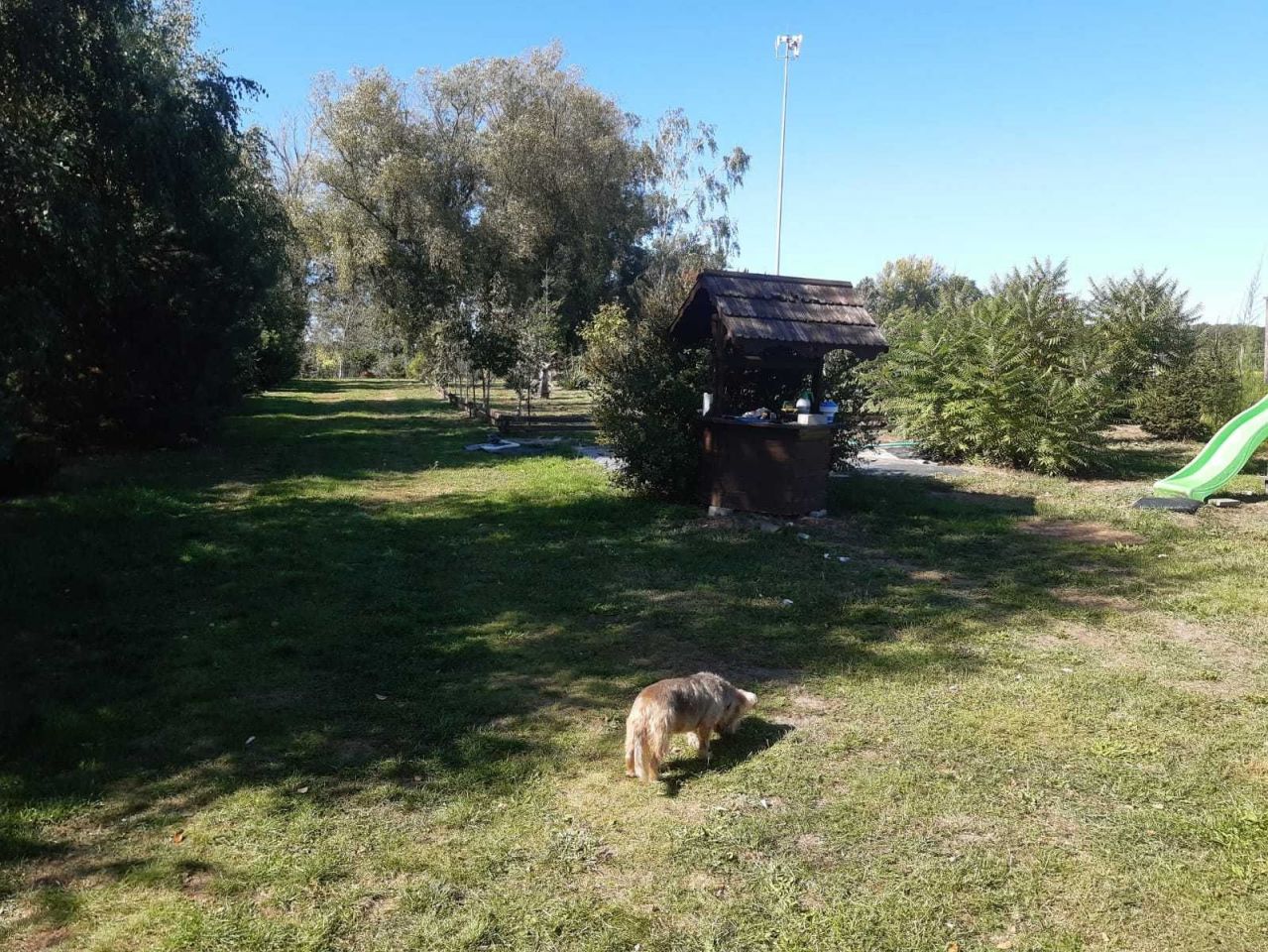 Działka budowlana Świerzów. Zdjęcie 7