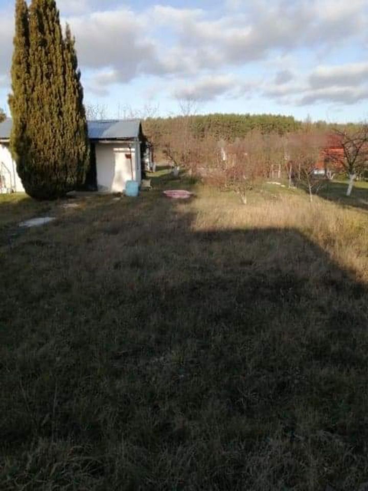 Działka rod Krosno Odrzańskie. Zdjęcie 4