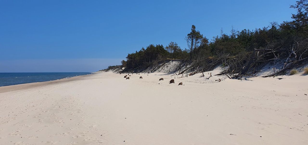 Działka rolno-budowlana Łokciowe. Zdjęcie 10