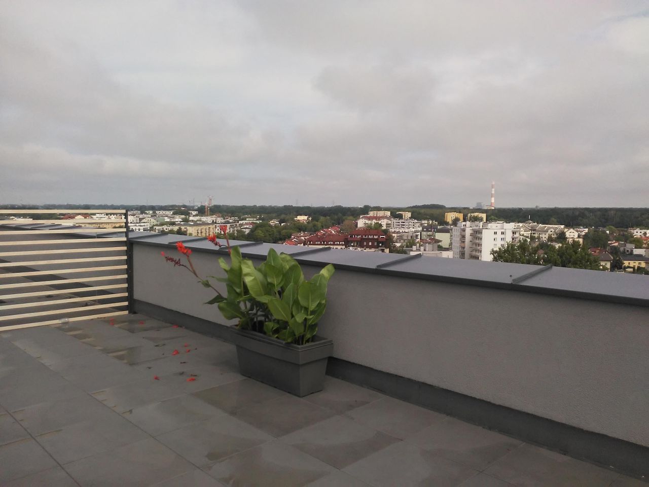 Mieszkanie 1-pokojowe Warszawa Gocławek, ul. Kokoryczki. Zdjęcie 19