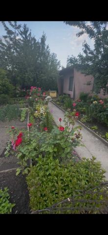 Działka rod Zabrze Centrum, ul. Gdańska. Zdjęcie 1