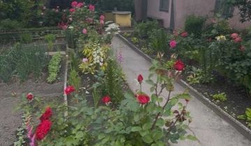 Działka rod Zabrze Centrum, ul. Gdańska