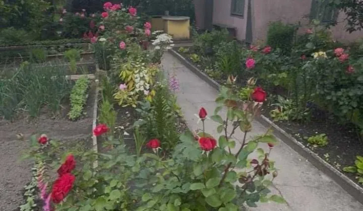 Działka rod Zabrze Centrum, ul. Gdańska