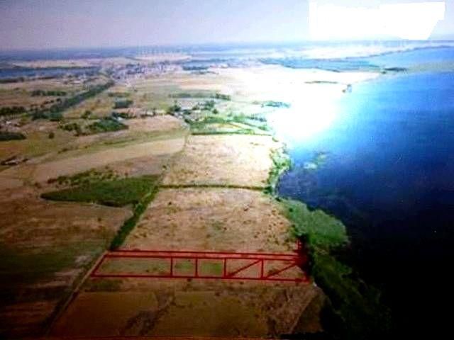 Działka rolno-budowlana Płocin. Zdjęcie 1