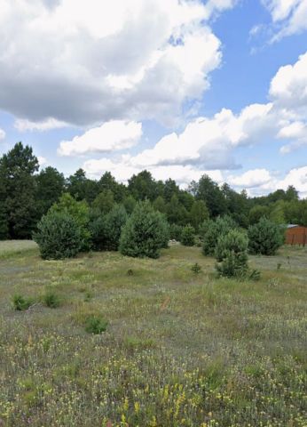 Działka budowlana Zambski Kościelne. Zdjęcie 1