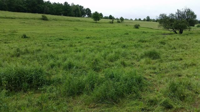 Działka rolno-budowlana Jaszkowa Górna. Zdjęcie 1